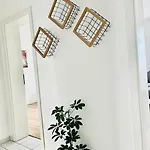Zentral 85-5